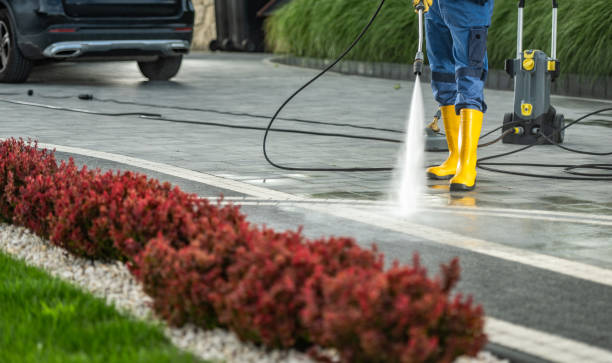 Best Window and Screen Pressure Cleaning in Rising Sun, MD